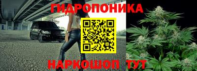 мяу мяу мука Гусь-Хрустальный