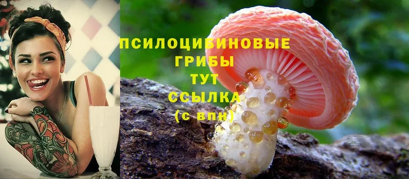 Галлюциногенные грибы Cubensis  Мытищи 